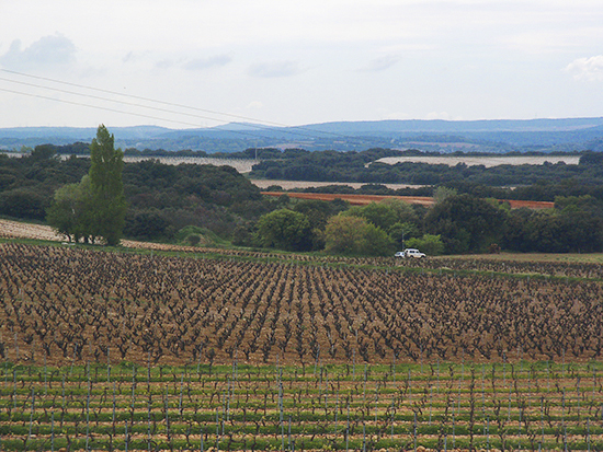 Chateauneuf-du-Pape.©J.Hulsey