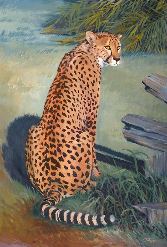 Hemmingway, Oil, © Cindy Wheeler