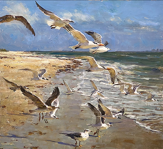 Sanibel Seagulls, 33 x 36", Oil, © Derek Penix