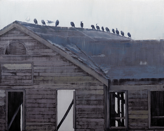 Bird House by Toby Haynes