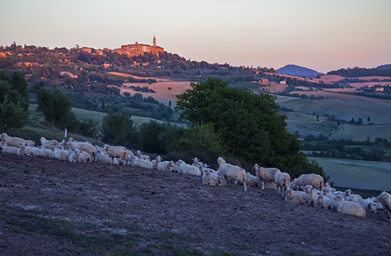 photo of Pienza, Italy, at sunset.©J.Hulsey watercolor workshops