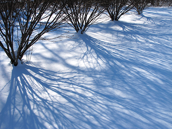 9:30 am Snow Shadows