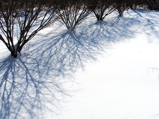 12:00 pm Snow Shadows