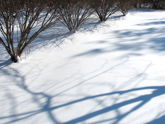 2:30 pm Snow Shadows