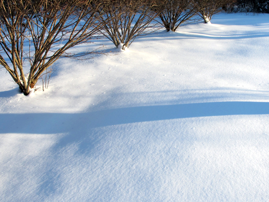 5:00 pm Snow Shadows