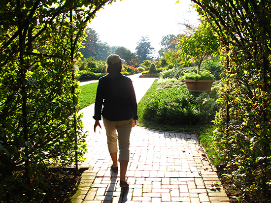 Afternoon Longwood Gardens