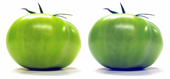 Photograph of Two Tomatoes