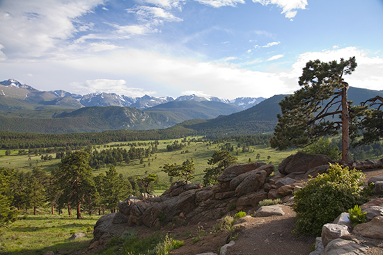 Photo of View of Beaver Meadows by John Hulsey