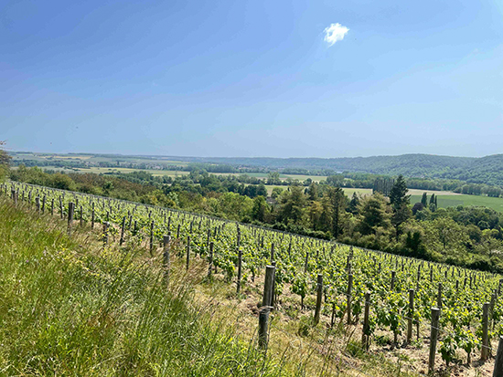 The Countryside around Giverny © Eric Santoli