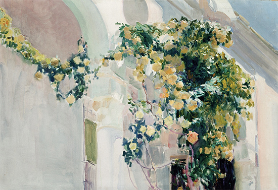 A Rose Bush at Sorolla's House, 1918, Joaquin Sorolla