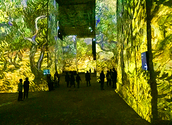 Photo of Les Carrieres de Lumieres at Les Baux. © J. Hulsey