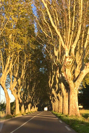 Sycamore Tunnel