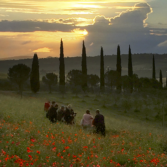 Photo of Tuscany poppy fields at dawn. © J. Hulsey