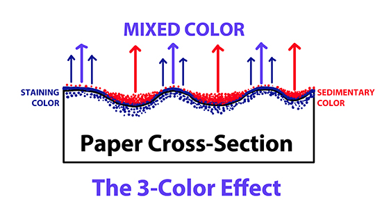 Watercolor Paper Cross Section © JM Hulsey