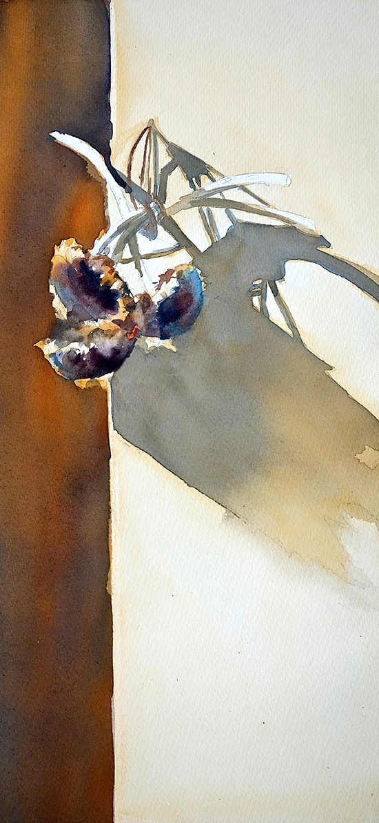 Watercolor by Sarah Yeoman