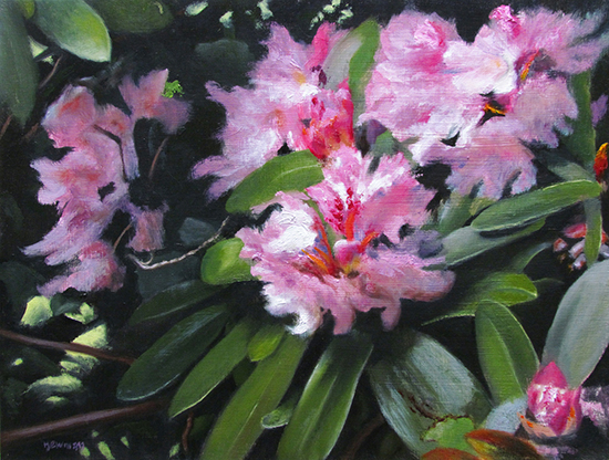 Rhododenrons, 11 x 14", Oil, © Bruce Newman