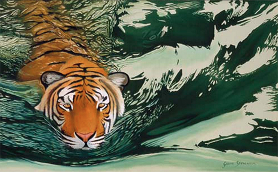 Tiger Water © Graeme Stevenson
