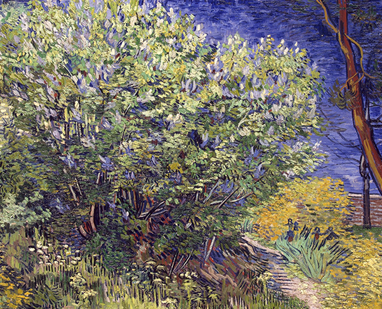 Lilac Bush, 1889, Vincent van Gogh