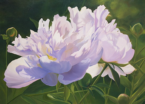 oil painting of peonies by Ann trusty