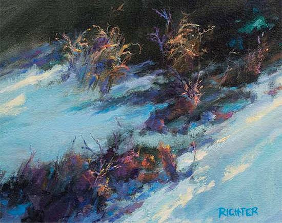 Under Cedars - Sunlight Patches, 11 x 14", Oil, © Matthew Richter