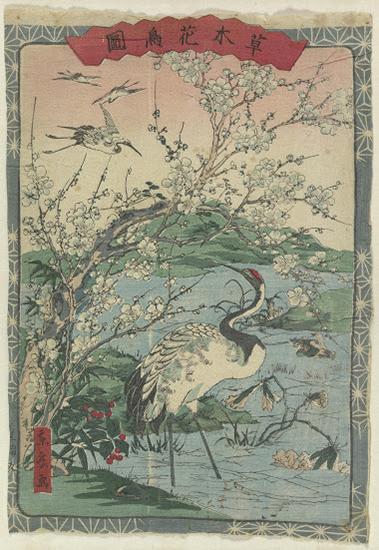 Cranes and Cherry Blossoms from the series Illustrations of Plants Trees Flowers and Birds by Togaku