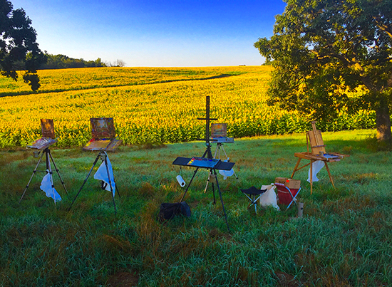 Easels Ready to Paint Sunflower Field