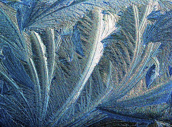 Photograph of Frost Patterns