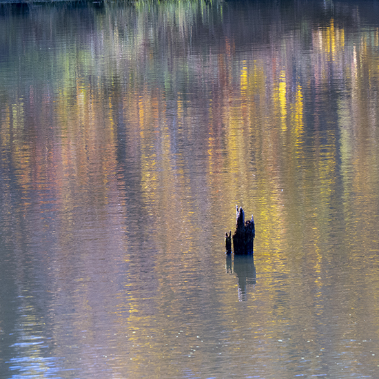 Reflection Photograph © John Hulsey