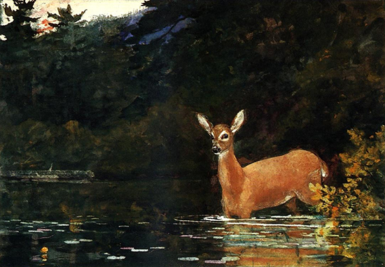 Watercolor by Winslow Homer