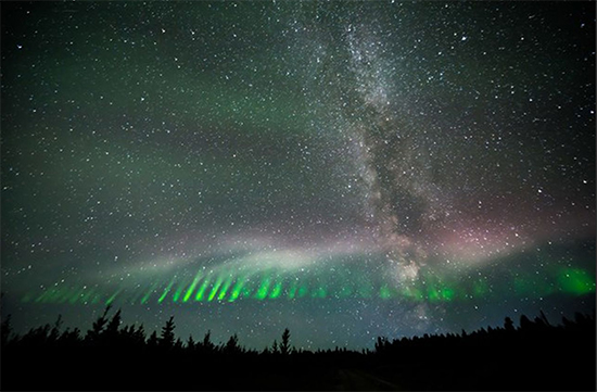 Steve, photograph by Catalin Tapardel from aurorasaurus.org