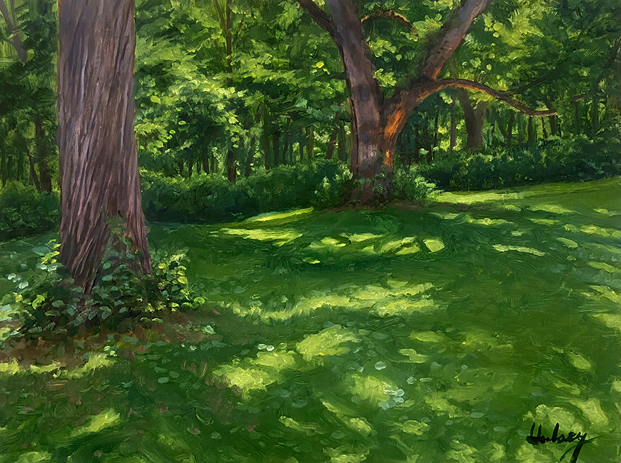 Summer Shadows, Oil, 12 x 16", © J.M.Hulsey