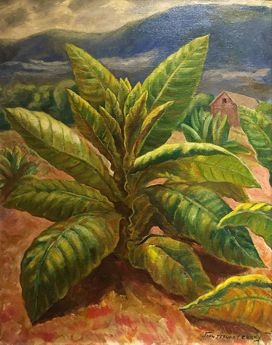 Tobacco Plant by John Steuart Curry