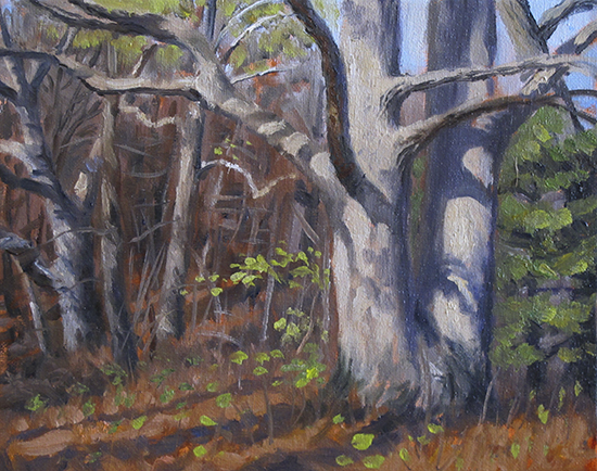 White Oak study, oil by John Hulsey