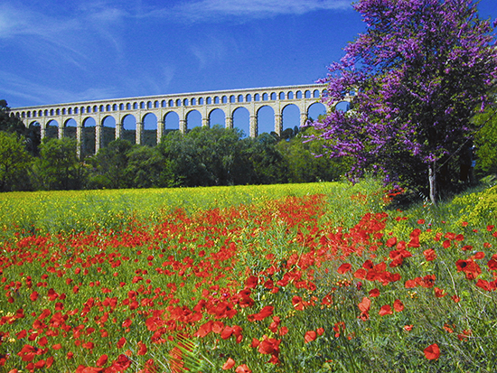 photo of Roquefavour Aqueduct, Provence. © by J. Hulsey