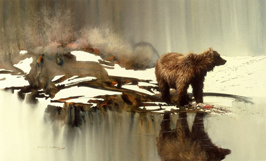 Bad Water Bear © Mort Solberg