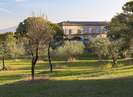 Photo of St. Paul de Mausole landscape