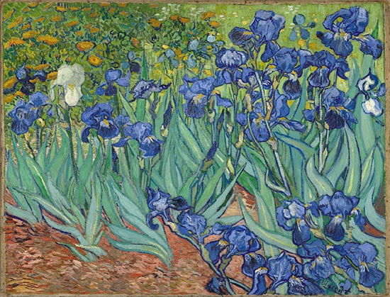 Irises oil painting by Vincent Van Gogh
