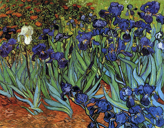 oil painting of iris in a garden by Vincent van Gogh