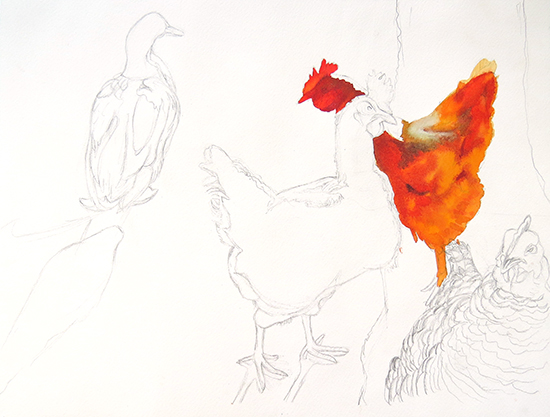 watercolor painting of chickens by John Hulsey